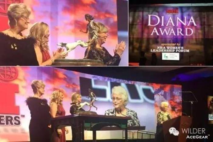 2015年“黛安娜奖”颁奖典礼