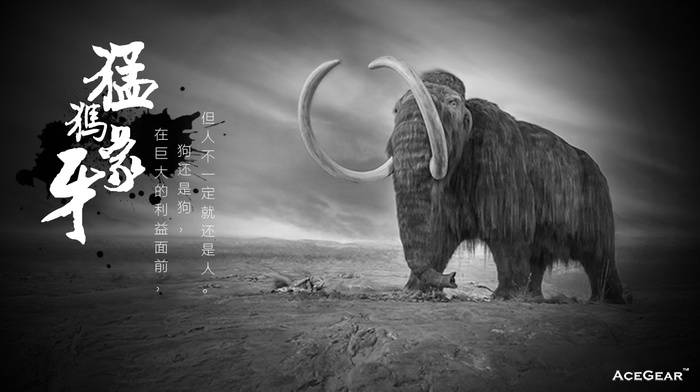 点击图片进入《一颗牙能卖23万人民币》