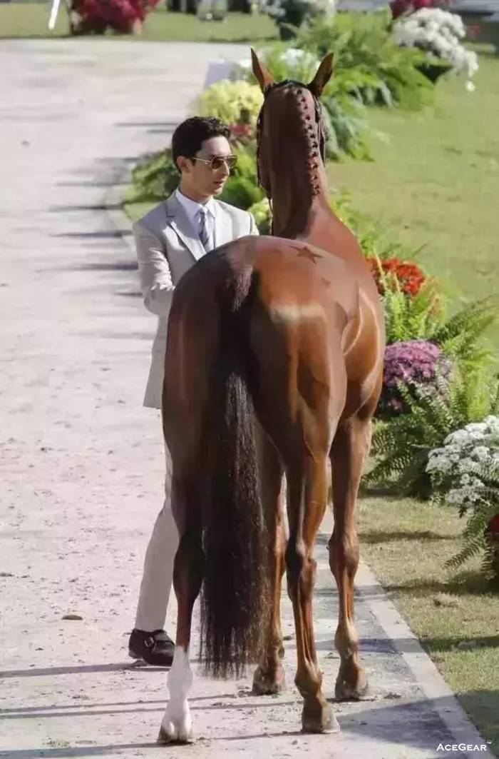 里约奥运会验马仪式