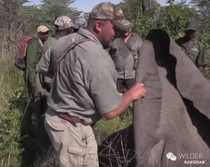 翻看大象巨大的耳朵
