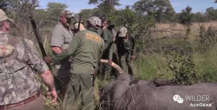 Abbott向同行人员道谢