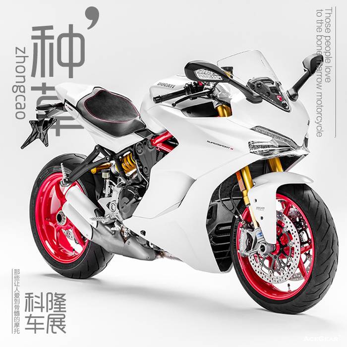点击图片进入《那个给我心头种满小草的科隆车展》